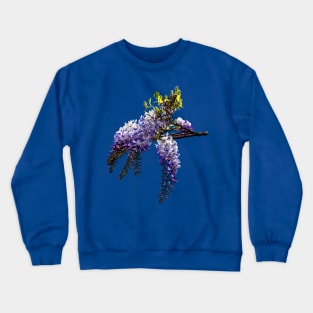 Wisteris Starting to Open Crewneck Sweatshirt